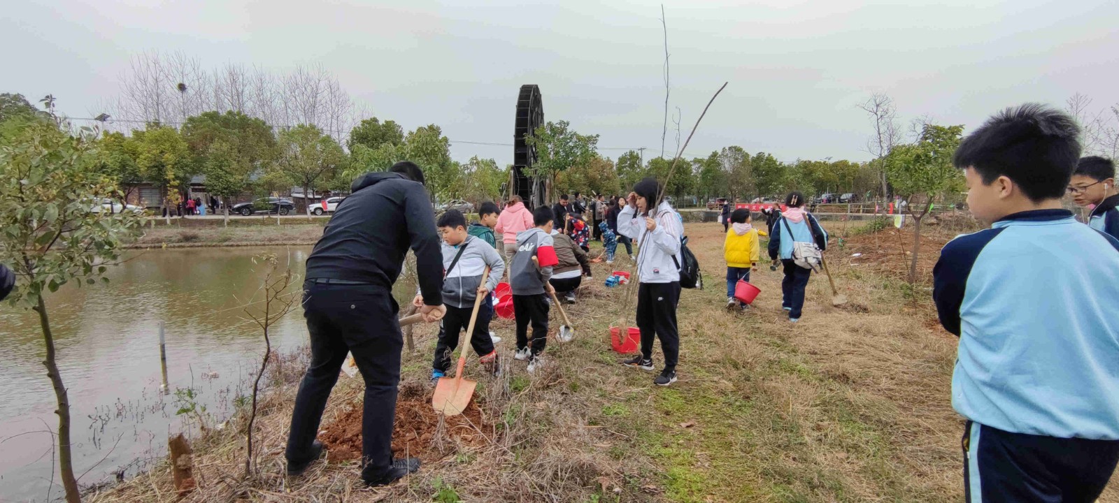 自愿效劳丨我司开展学雷锋义务植树活动 - 公司要闻 - 湖南万达项目治理有限公司【官网】