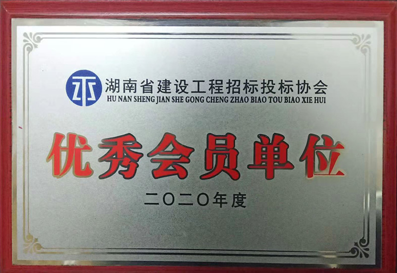 湖南省建设工程招标投标协会2020年度优异会员单位 - 声誉资质 - 湖南万达项目治理有限公司【官网】